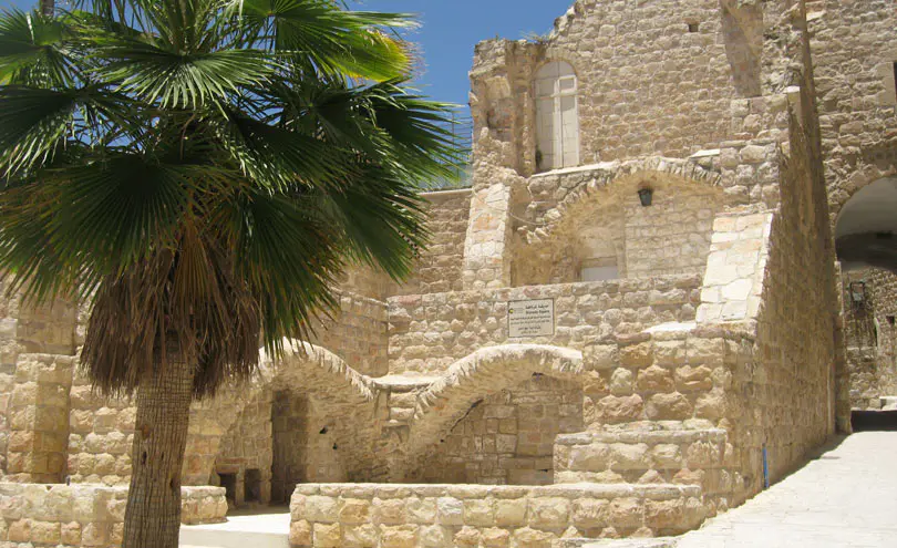 WHA2013_ISRAELPALESTINE4